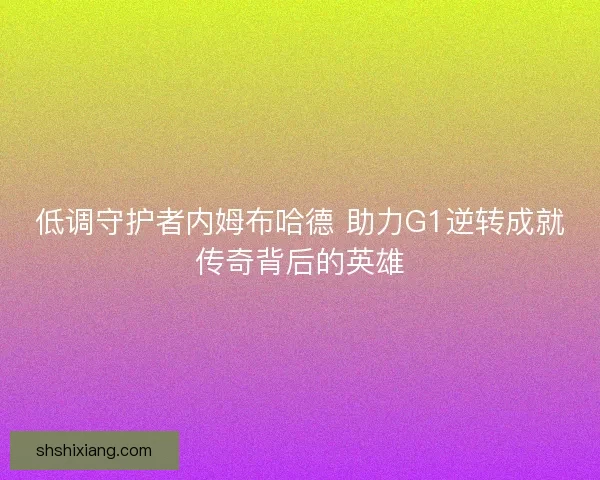 低调守护者内姆布哈德 助力G1逆转成就传奇背后的英雄