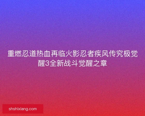 重燃忍道热血再临火影忍者疾风传究极觉醒3全新战斗觉醒之章